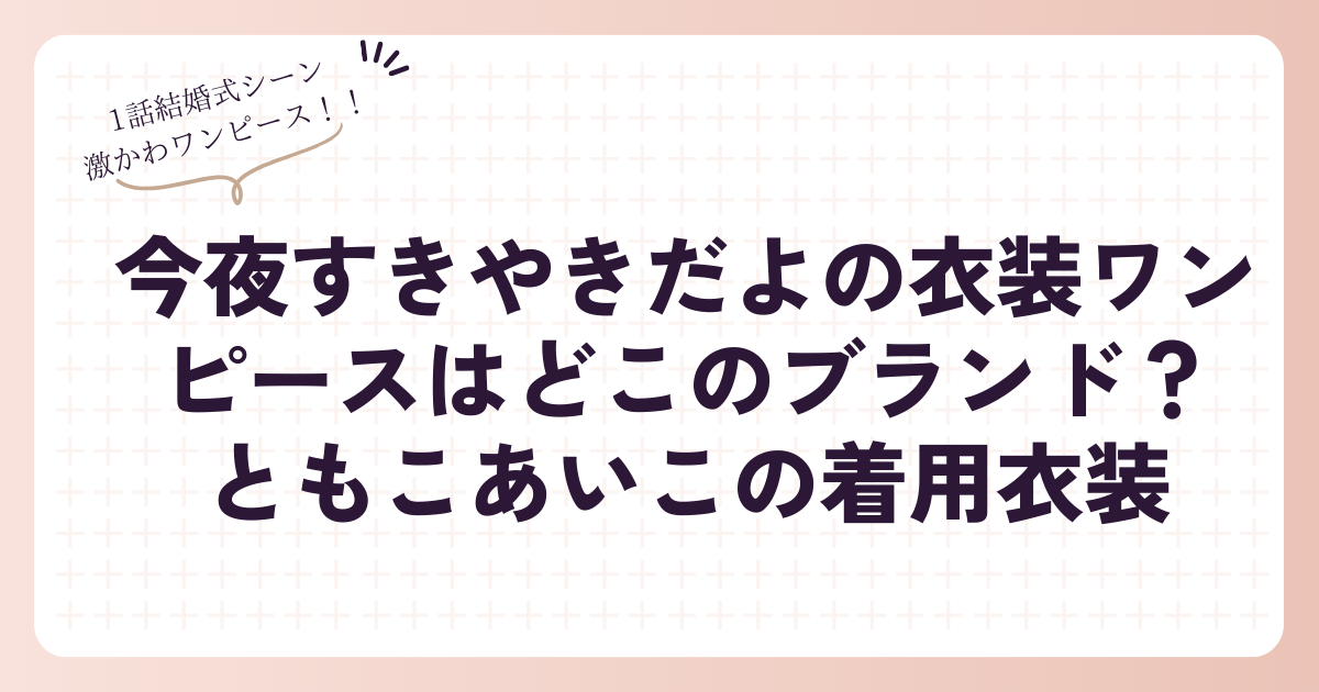 今夜すきやきだよの衣装ワンピースはどこのブランド？ともこあいこの着用衣装