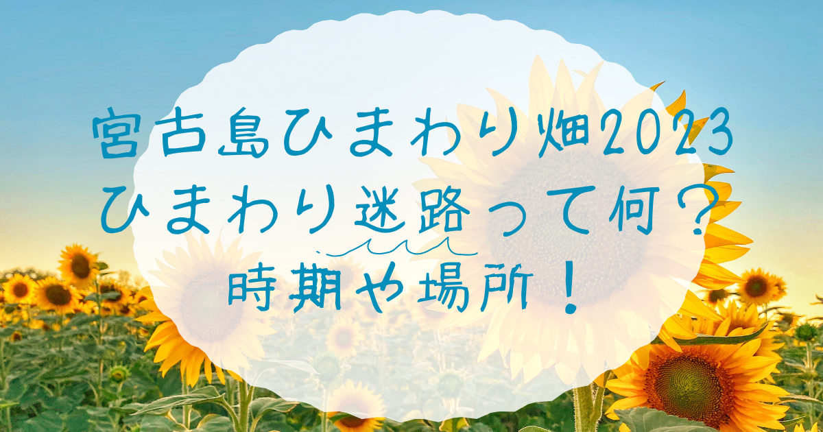 宮古島ひまわり畑2023ひまわり迷路って何？時期や場所！