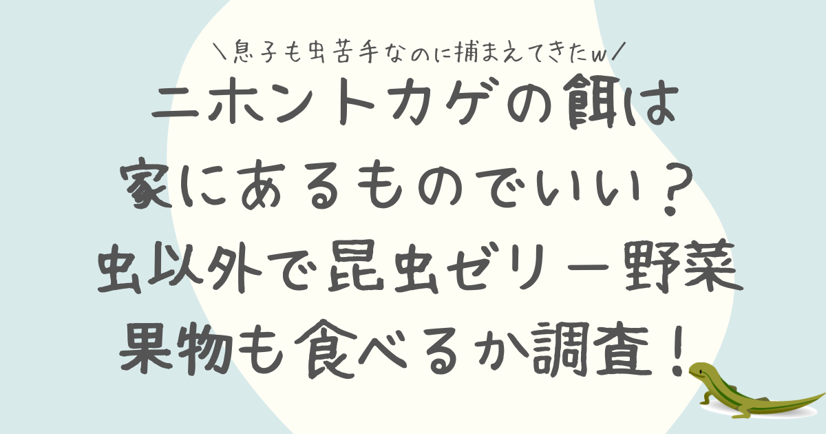 ニホントカゲの餌は家にあるものでいい？虫以外で昆虫ゼリー・野菜・果物も食べるか調査！