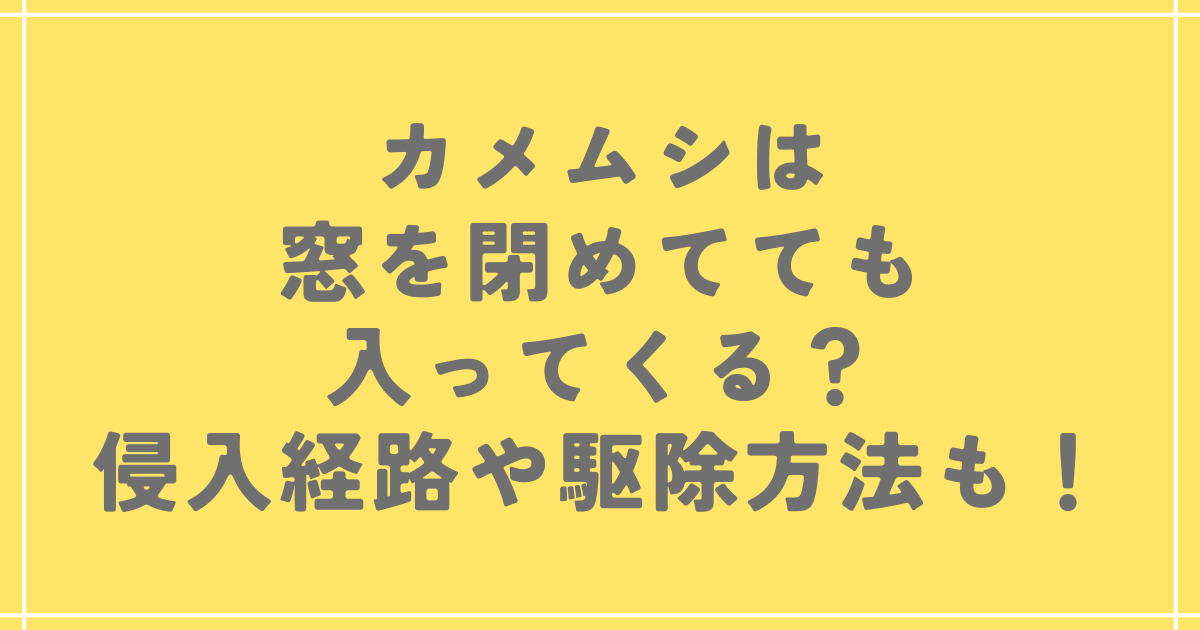 カメムシは窓を閉めてても入ってくる？侵入経路や駆除方法も！