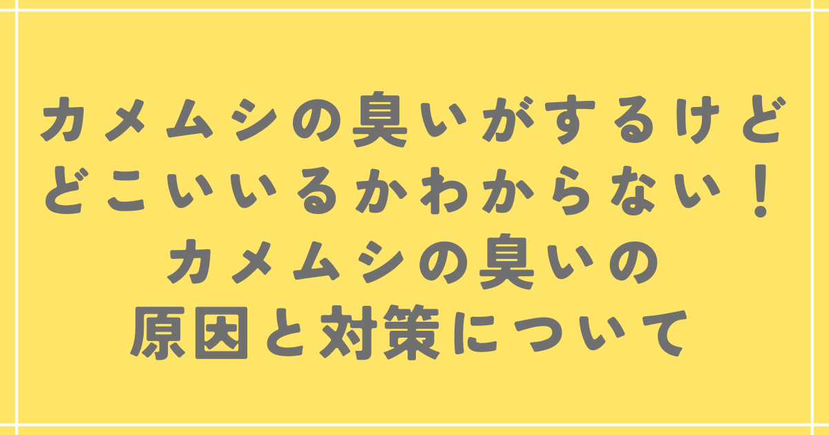 カメムシの臭いがするけどどこいいるかわからない！カメムシの臭いの原因と対策について