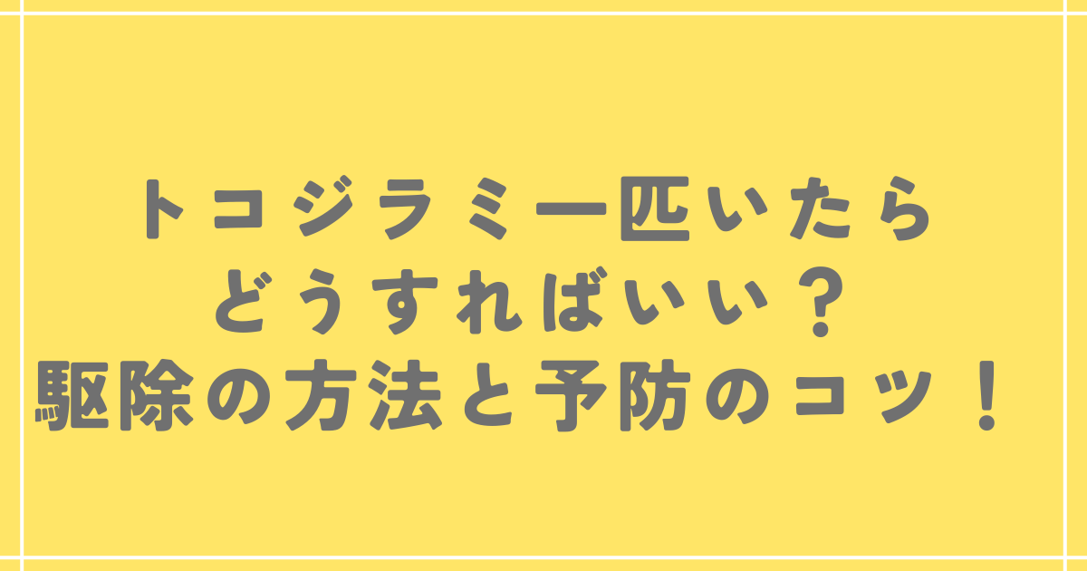 トコジラミ一匹いたらどうすればいい？駆除の方法と予防のコツ！